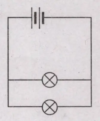 Option (d)