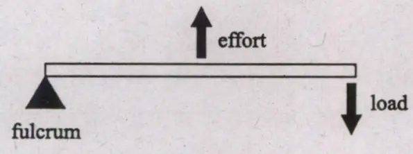 Option (d)